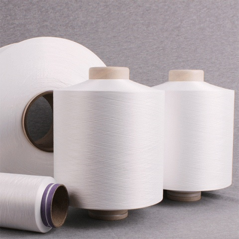 Ấn Độ kết luận cuối cùng của vụ việc điều tra chống bán phá giá với sợi Nylon Filament Yarn (Multi Filament) nhập khẩu từ Liên minh Châu Âu và Việt Nam