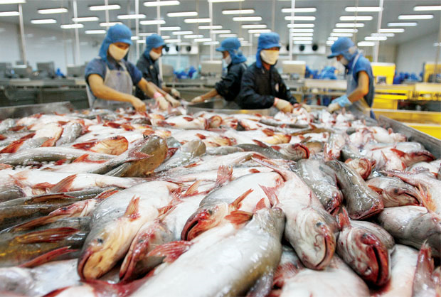 Việt Nam khiếu nại biện pháp chống bán phá giá của Hoa Kỳ đối với sản phẩm cá tra, basa lên Cơ quan giải quyết tranh chấp của Tổ chức thương mại thế giới (WTO)