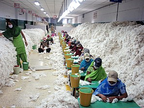 Indonesia ban hành Kết luận cuối cùng vụ việc điều tra tự vệ đối với sợi bông nhập khẩu