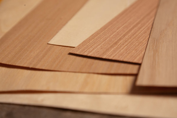 Ấn Độ ra thông báo kết luận cuối cùng vụ việc chống bán phá giá mặt hàng gỗ tấm MDF nhập khẩu từ Indonesia và Việt Nam