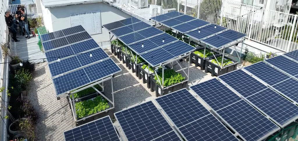 Vụ việc điều tra chống bán phá giá của Hoa Kỳ đe dọa xuất khẩu mô-đun năng lượng mặt trời của Ấn Độ